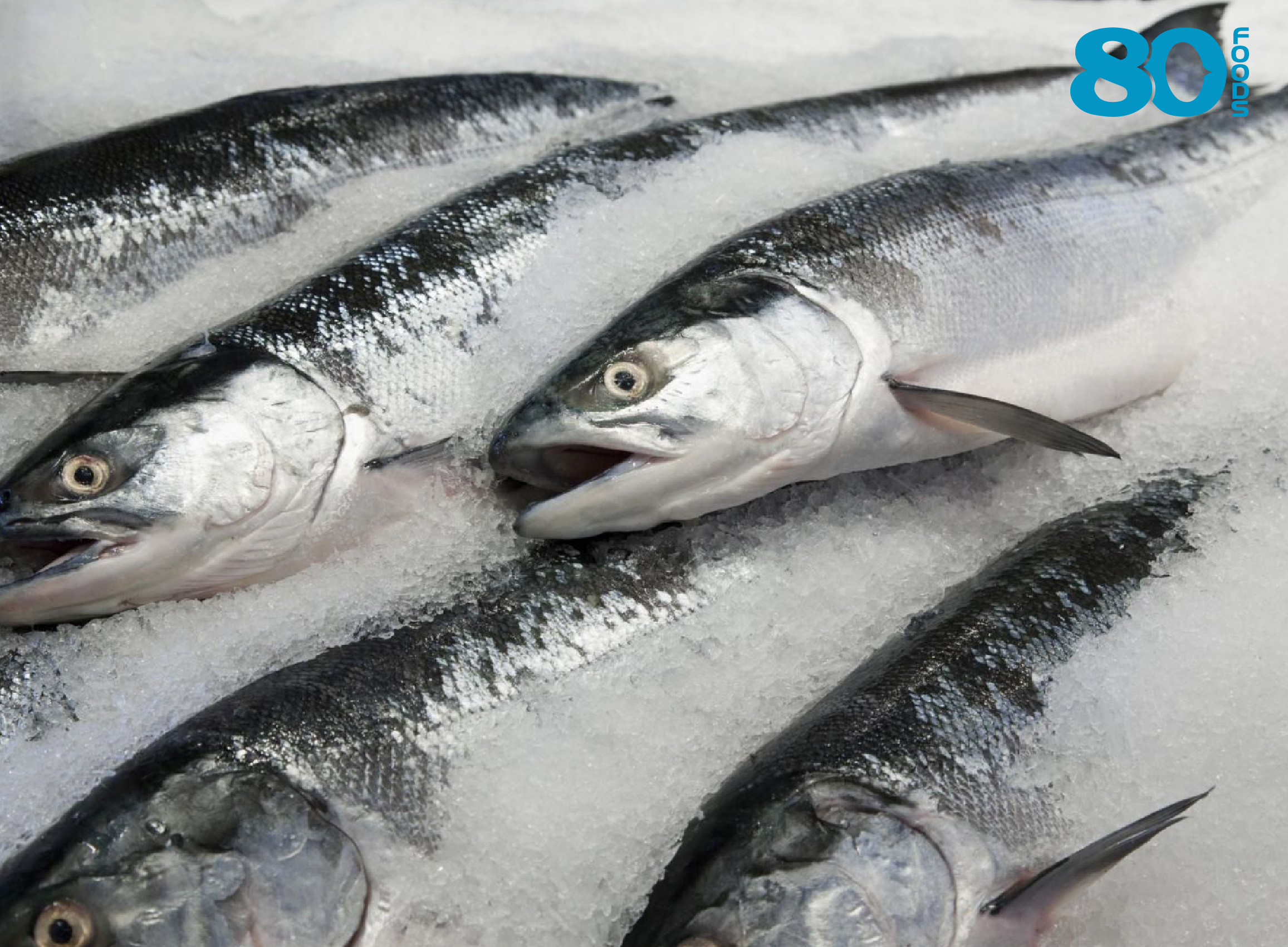 Cá hồi NaUy Organic nhập khẩu đạt Châu Âu