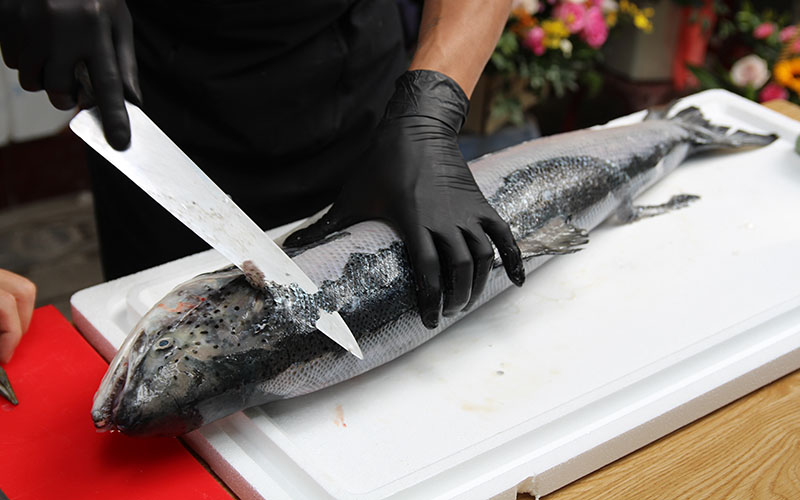 Cá hồi Nauy 80Foods mổ mới mỗi ngày đáp ứng nhu cầu lớn của người tiêu dùng